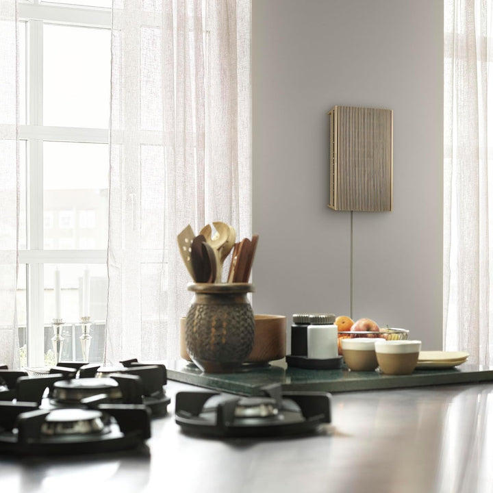 Bang & Olufsen Beosound Level - Difuzor portabil fără fir cu Wifi și Bluetooth (16 ore de funcționare a bateriei), Difuzor durabil certificat Cradle to Cradle - Gold Tone/Wood